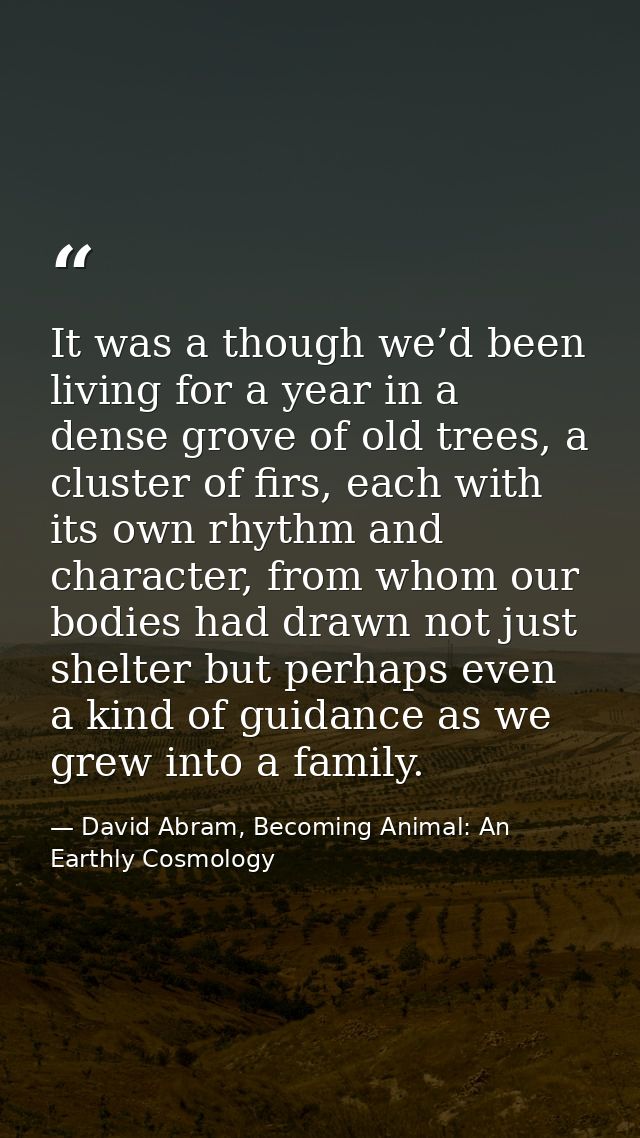 It was a though we’d been living for a year in a dense grove of old trees, a cluster of firs, each with its own rhythm a — David Abram, Becoming Animal: An Earthly Cosmology