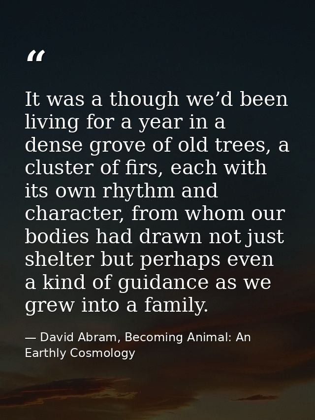 It was a though we’d been living for a year in a dense grove of old trees, a cluster of firs, each with its own rhythm a — David Abram, Becoming Animal: An Earthly Cosmology