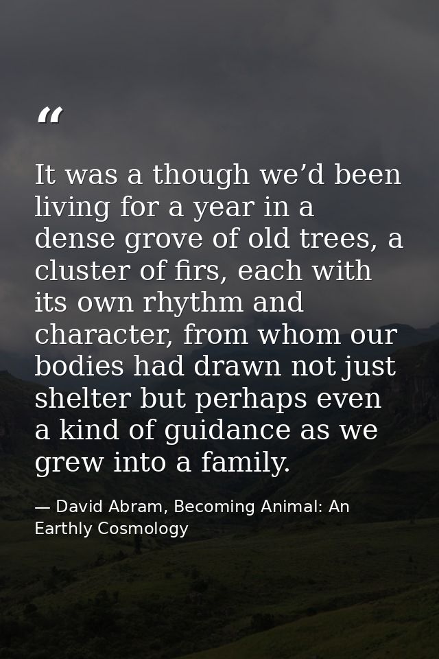 It was a though we’d been living for a year in a dense grove of old trees, a cluster of firs, each with its own rhythm a — David Abram, Becoming Animal: An Earthly Cosmology