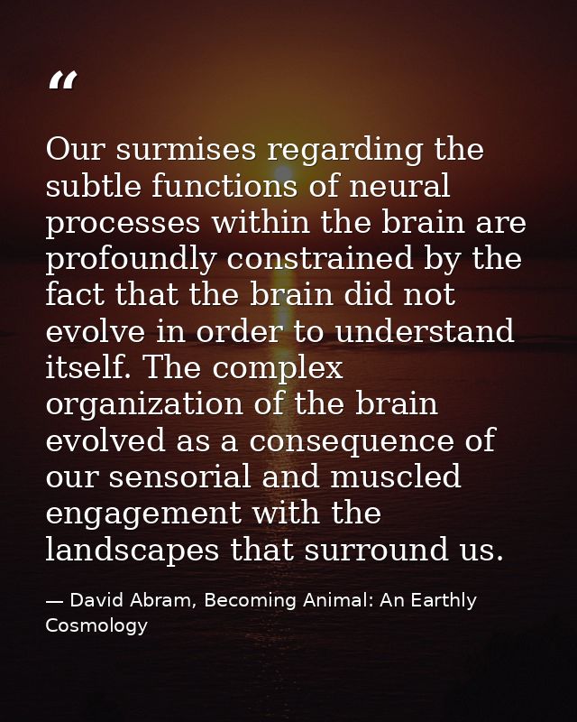 Our surmises regarding the subtle functions of neural processes within the brain are profoundly constrained by the fact  — David Abram, Becoming Animal: An Earthly Cosmology