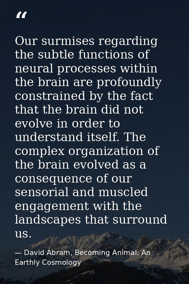 Our surmises regarding the subtle functions of neural processes within the brain are profoundly constrained by the fact  — David Abram, Becoming Animal: An Earthly Cosmology