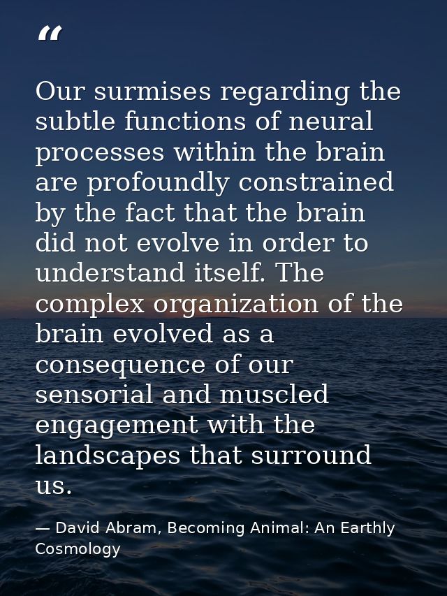 Our surmises regarding the subtle functions of neural processes within the brain are profoundly constrained by the fact  — David Abram, Becoming Animal: An Earthly Cosmology
