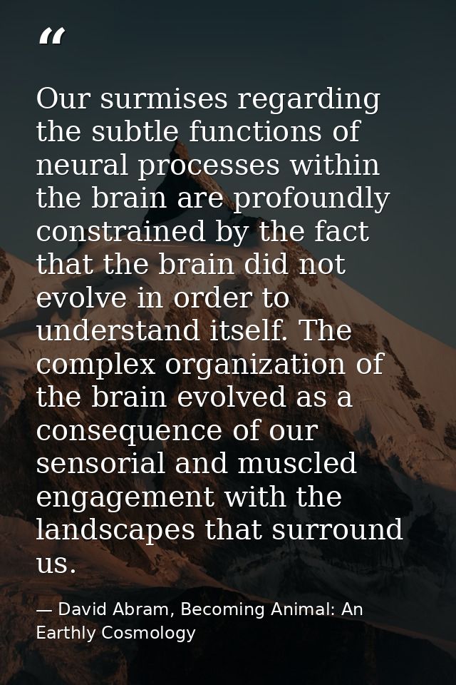 Our surmises regarding the subtle functions of neural processes within the brain are profoundly constrained by the fact  — David Abram, Becoming Animal: An Earthly Cosmology
