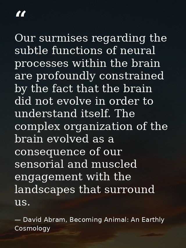 Our surmises regarding the subtle functions of neural processes within the brain are profoundly constrained by the fact  — David Abram, Becoming Animal: An Earthly Cosmology