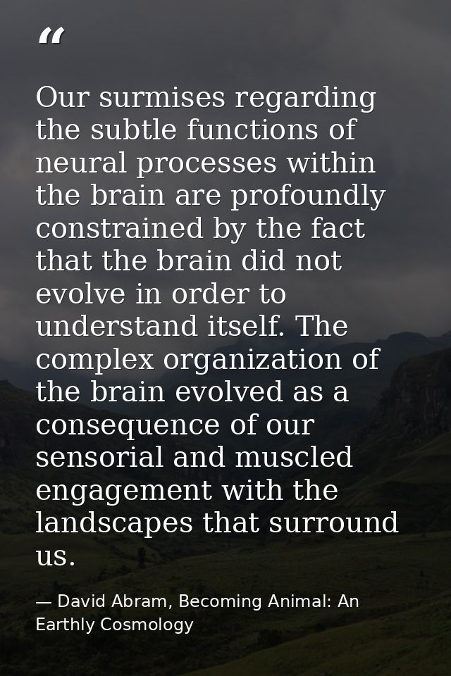 Our surmises regarding the subtle functions of neural processes within the brain are profoundly constrained by the fact  — David Abram, Becoming Animal: An Earthly Cosmology