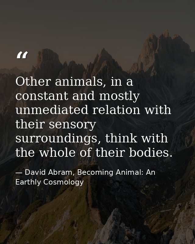Other animals, in a constant and mostly unmediated relation with their sensory surroundings, think with the whole of the — David Abram, Becoming Animal: An Earthly Cosmology