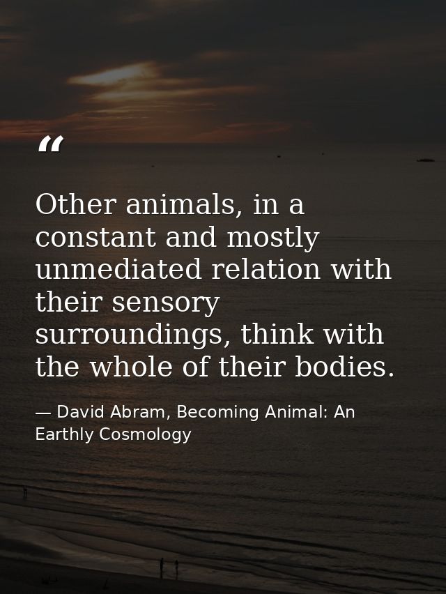 Other animals, in a constant and mostly unmediated relation with their sensory surroundings, think with the whole of the — David Abram, Becoming Animal: An Earthly Cosmology