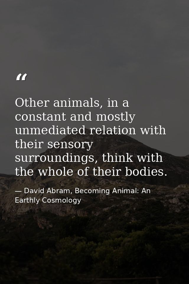 Other animals, in a constant and mostly unmediated relation with their sensory surroundings, think with the whole of the — David Abram, Becoming Animal: An Earthly Cosmology