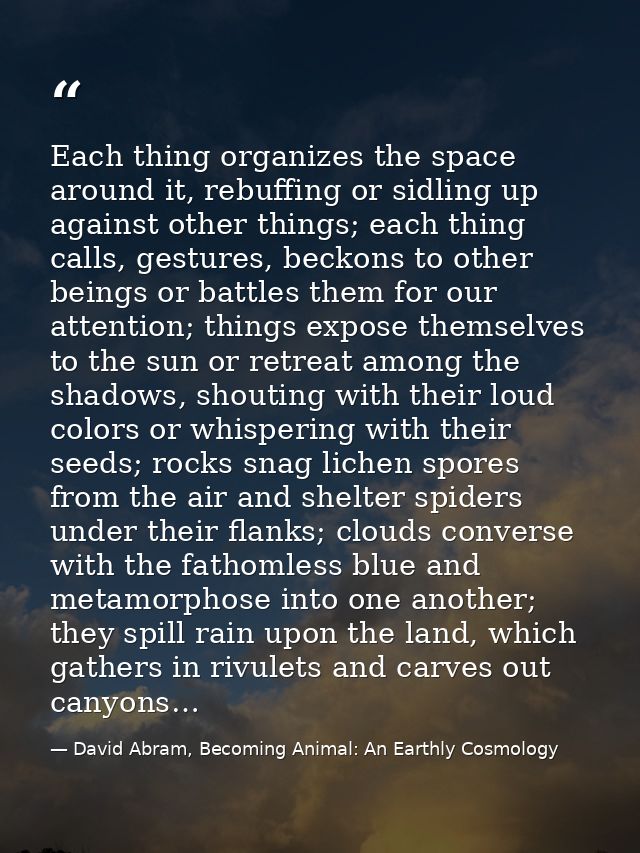 Each thing organizes the space around it, rebuffing or sidling up against other things; each thing calls, gestures, beck — David Abram, Becoming Animal: An Earthly Cosmology