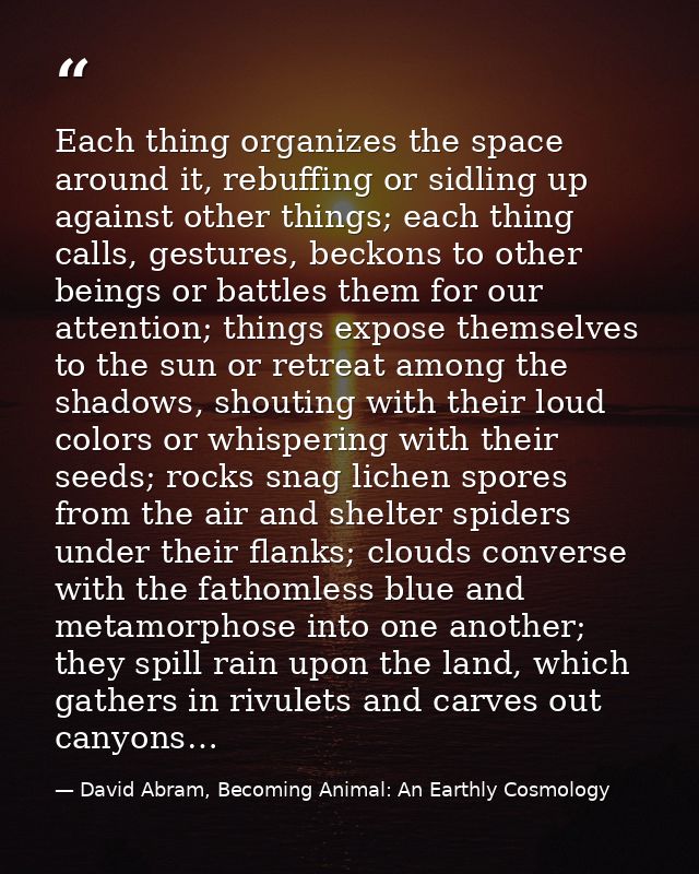 Each thing organizes the space around it, rebuffing or sidling up against other things; each thing calls, gestures, beck — David Abram, Becoming Animal: An Earthly Cosmology