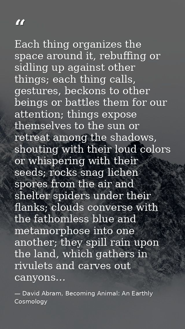 Each thing organizes the space around it, rebuffing or sidling up against other things; each thing calls, gestures, beck — David Abram, Becoming Animal: An Earthly Cosmology