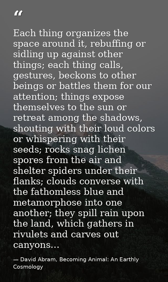 Each thing organizes the space around it, rebuffing or sidling up against other things; each thing calls, gestures, beck — David Abram, Becoming Animal: An Earthly Cosmology