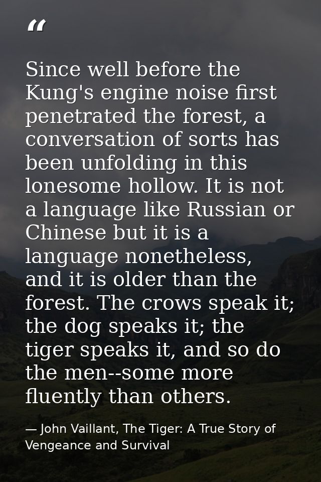 Since well before the Kung's engine noise first penetrated the forest, a conversation of sorts has been unfolding in thi — John Vaillant, The Tiger: A True Story of Vengeance and Survival