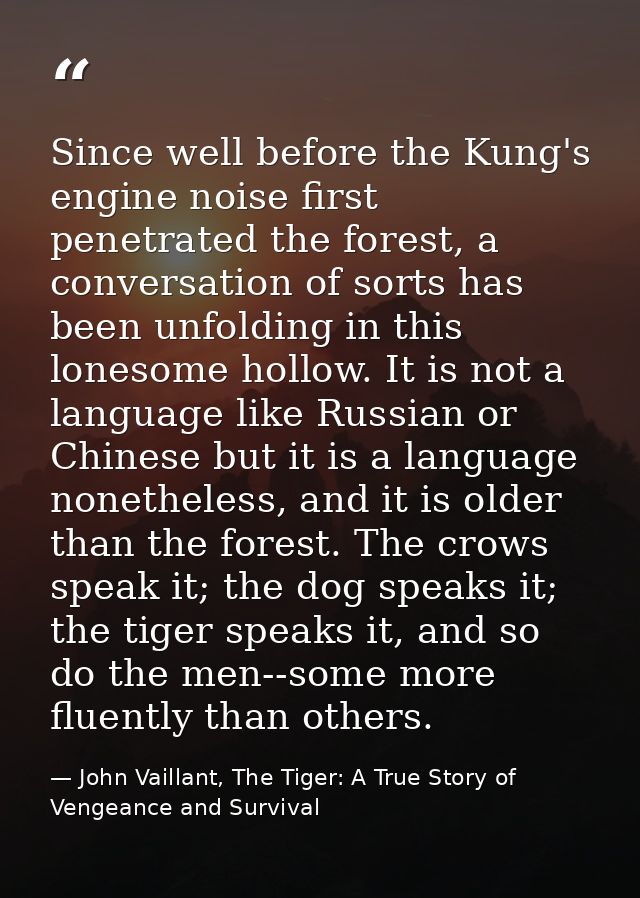 Since well before the Kung's engine noise first penetrated the forest, a conversation of sorts has been unfolding in thi — John Vaillant, The Tiger: A True Story of Vengeance and Survival