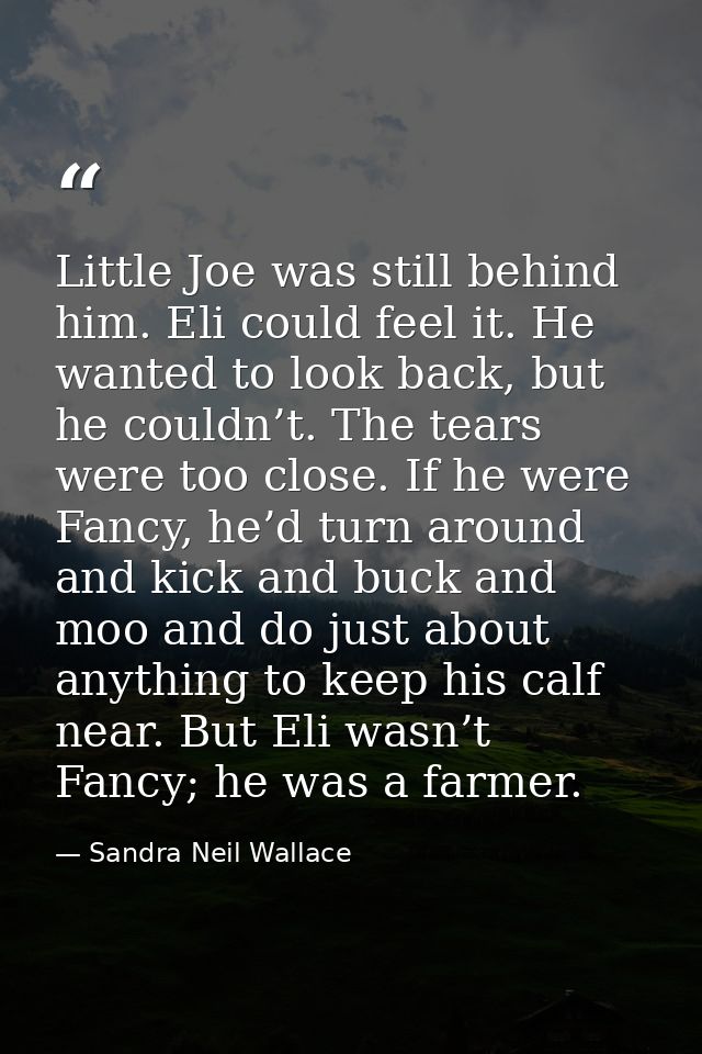 Little Joe was still behind him. Eli could feel it. He wanted to look back, but he couldn’t. The tears were too close. I — Sandra Neil Wallace