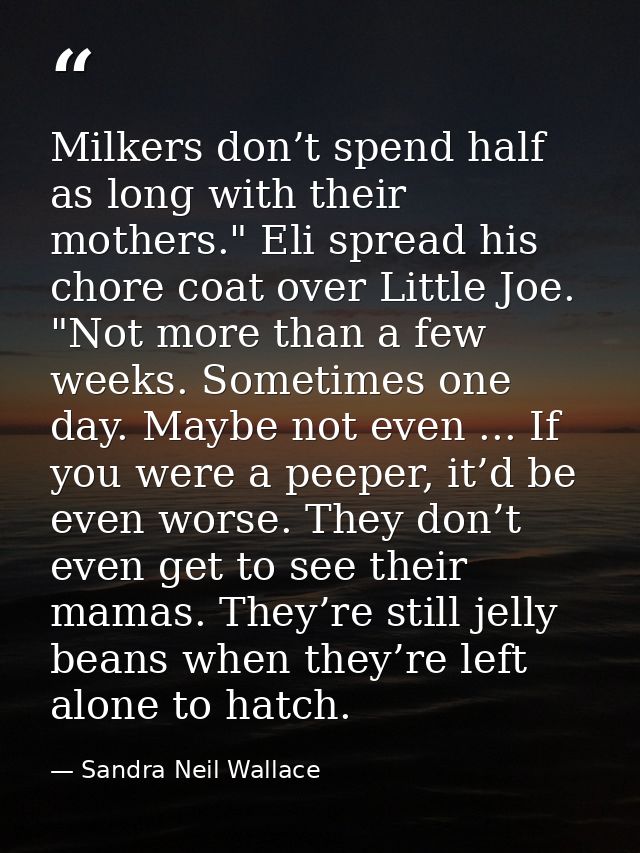 Milkers don’t spend half as long with their mothers." Eli spread his chore coat over Little Joe. "Not more than a few we — Sandra Neil Wallace