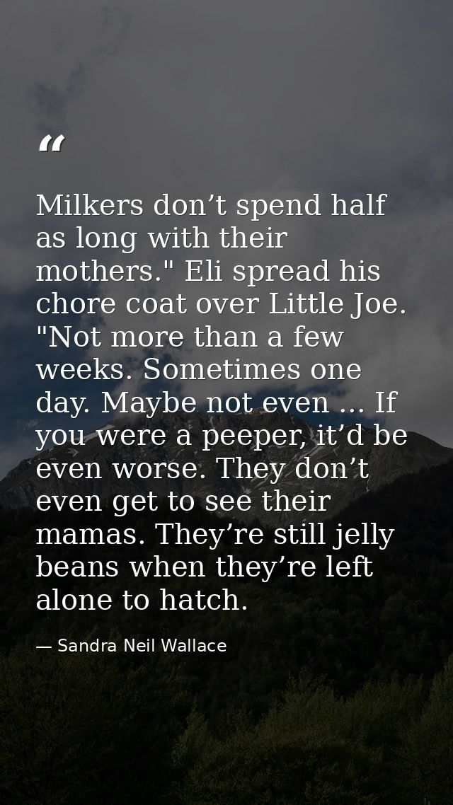 Milkers don’t spend half as long with their mothers." Eli spread his chore coat over Little Joe. "Not more than a few we — Sandra Neil Wallace