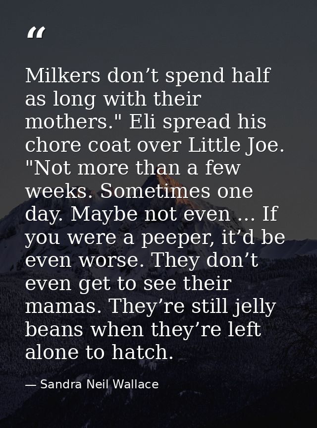 Milkers don’t spend half as long with their mothers." Eli spread his chore coat over Little Joe. "Not more than a few we — Sandra Neil Wallace
