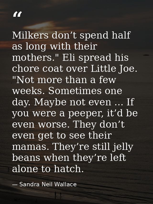 Milkers don’t spend half as long with their mothers." Eli spread his chore coat over Little Joe. "Not more than a few we — Sandra Neil Wallace