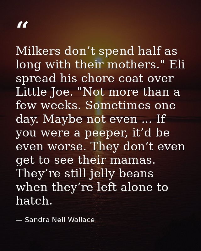 Milkers don’t spend half as long with their mothers." Eli spread his chore coat over Little Joe. "Not more than a few we — Sandra Neil Wallace