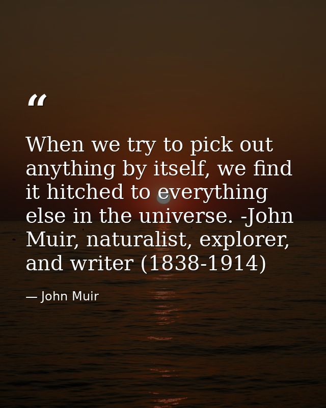 When we try to pick out anything by itself, we find it hitched to everything else in the universe. -John Muir, naturalis — John Muir