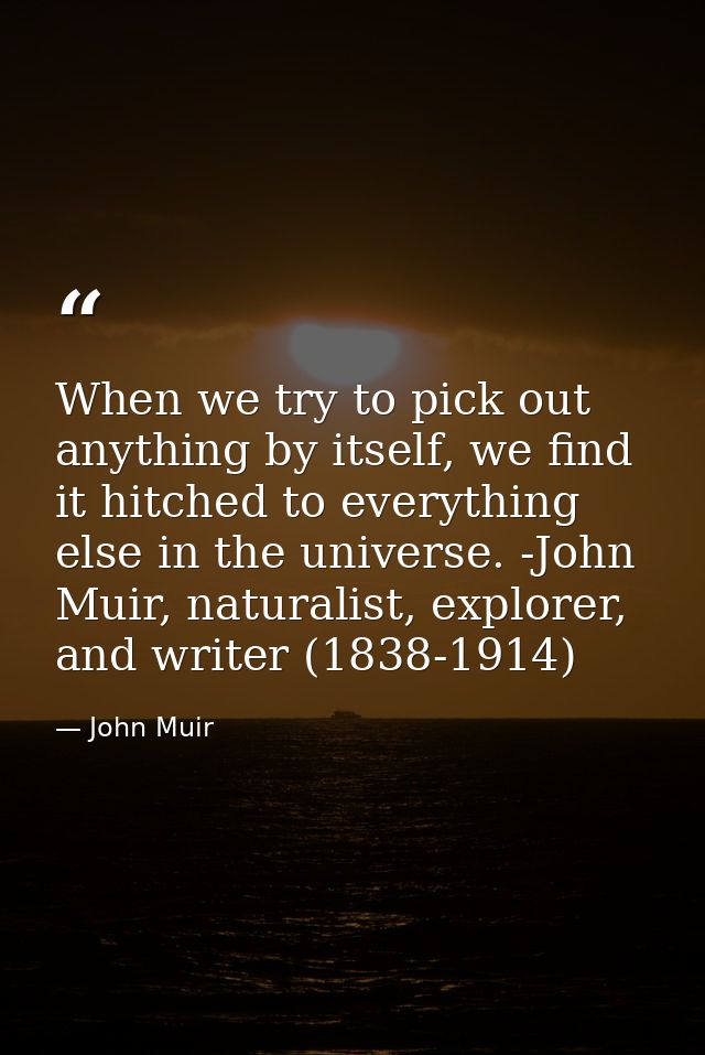 When we try to pick out anything by itself, we find it hitched to everything else in the universe. -John Muir, naturalis — John Muir