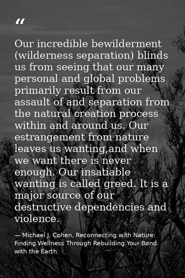Our incredible bewilderment (wilderness separation) blinds us from seeing that our many personal and global problems pri — Michael J. Cohen, Reconnecting with Nature: Finding Wellness Through Rebuilding Your Bond with the Earth