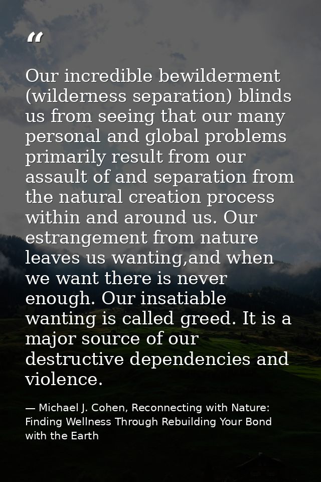 Our incredible bewilderment (wilderness separation) blinds us from seeing that our many personal and global problems pri — Michael J. Cohen, Reconnecting with Nature: Finding Wellness Through Rebuilding Your Bond with the Earth