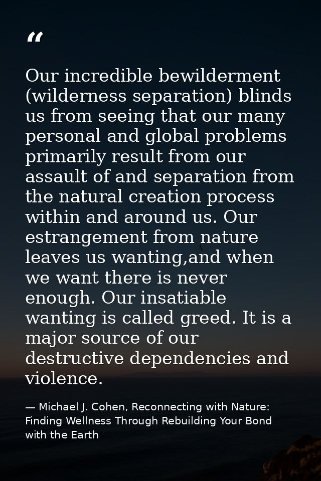 Our incredible bewilderment (wilderness separation) blinds us from seeing that our many personal and global problems pri — Michael J. Cohen, Reconnecting with Nature: Finding Wellness Through Rebuilding Your Bond with the Earth