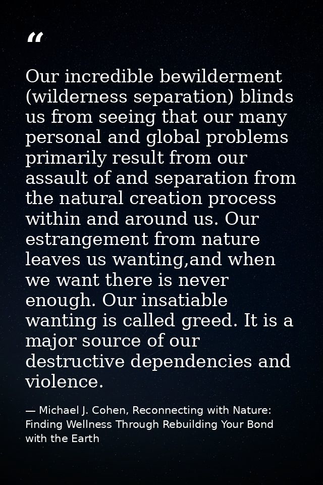 Our incredible bewilderment (wilderness separation) blinds us from seeing that our many personal and global problems pri — Michael J. Cohen, Reconnecting with Nature: Finding Wellness Through Rebuilding Your Bond with the Earth