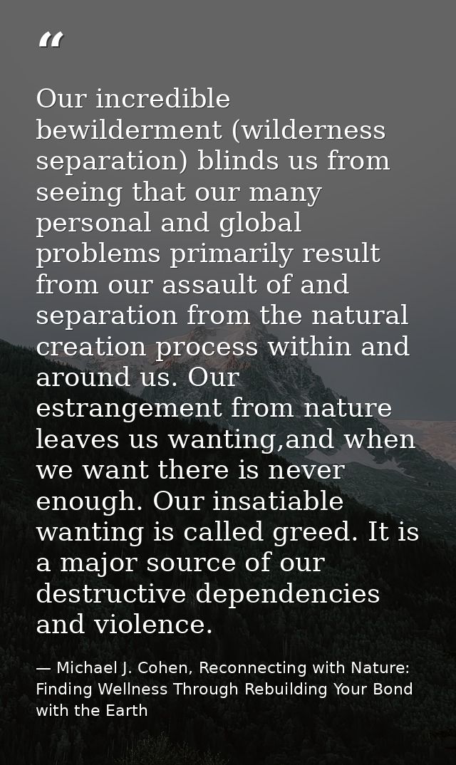 Our incredible bewilderment (wilderness separation) blinds us from seeing that our many personal and global problems pri — Michael J. Cohen, Reconnecting with Nature: Finding Wellness Through Rebuilding Your Bond with the Earth