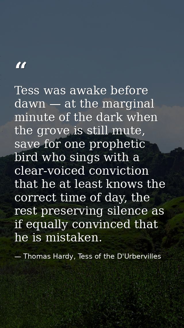 Tess was awake before dawn — at the marginal minute of the dark when the grove is still mute, save for one prophetic bir — Thomas Hardy, Tess of the D'Urbervilles