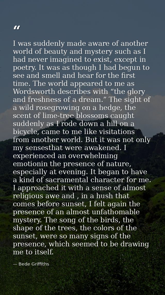 I was suddenly made aware of another world of beauty and mystery such as I had never imagined to exist, except in poetry — Bede Griffiths