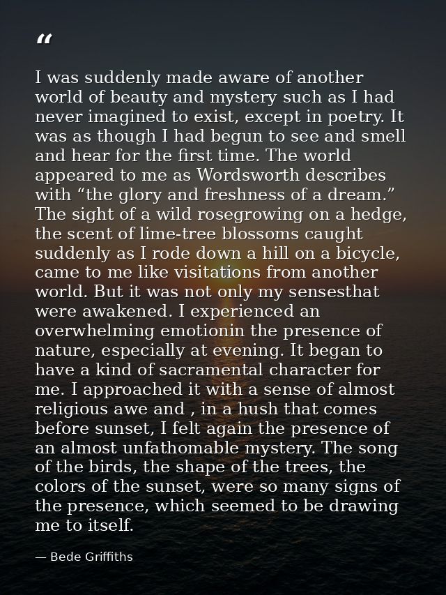 I was suddenly made aware of another world of beauty and mystery such as I had never imagined to exist, except in poetry — Bede Griffiths