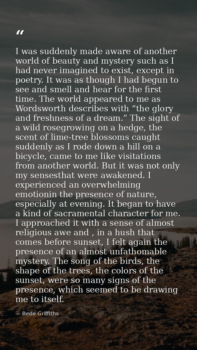 I was suddenly made aware of another world of beauty and mystery such as I had never imagined to exist, except in poetry — Bede Griffiths