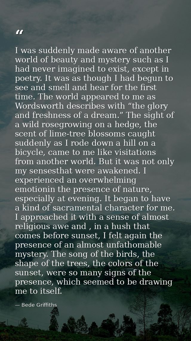 I was suddenly made aware of another world of beauty and mystery such as I had never imagined to exist, except in poetry — Bede Griffiths