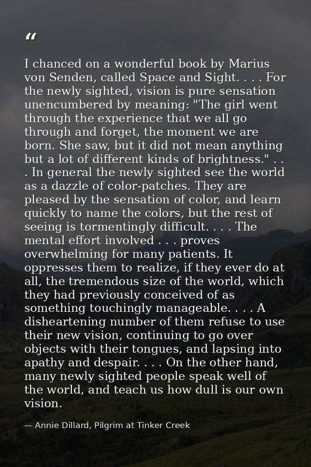 I chanced on a wonderful book by Marius von Senden, called Space and Sight. . . . For the newly sighted, vision is pure  — Annie Dillard, Pilgrim at Tinker Creek