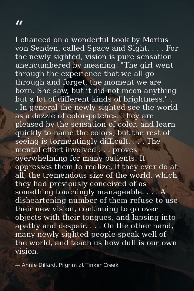 I chanced on a wonderful book by Marius von Senden, called Space and Sight. . . . For the newly sighted, vision is pure  — Annie Dillard, Pilgrim at Tinker Creek