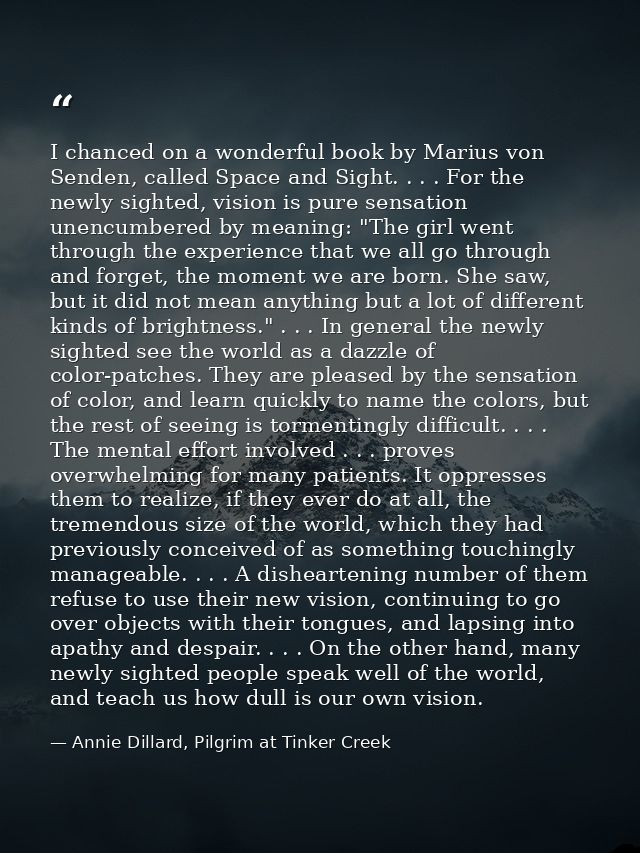 I chanced on a wonderful book by Marius von Senden, called Space and Sight. . . . For the newly sighted, vision is pure  — Annie Dillard, Pilgrim at Tinker Creek
