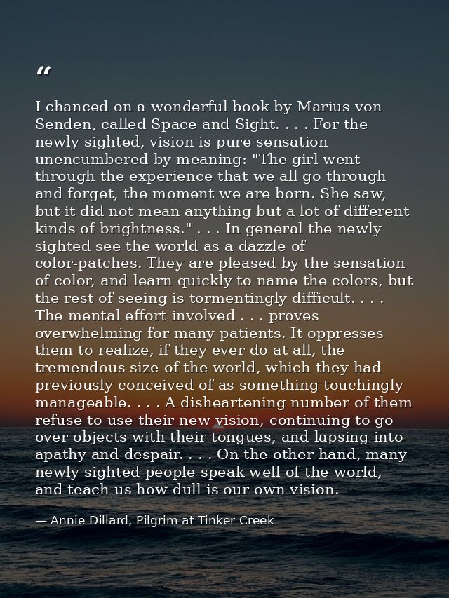 I chanced on a wonderful book by Marius von Senden, called Space and Sight. . . . For the newly sighted, vision is pure  — Annie Dillard, Pilgrim at Tinker Creek