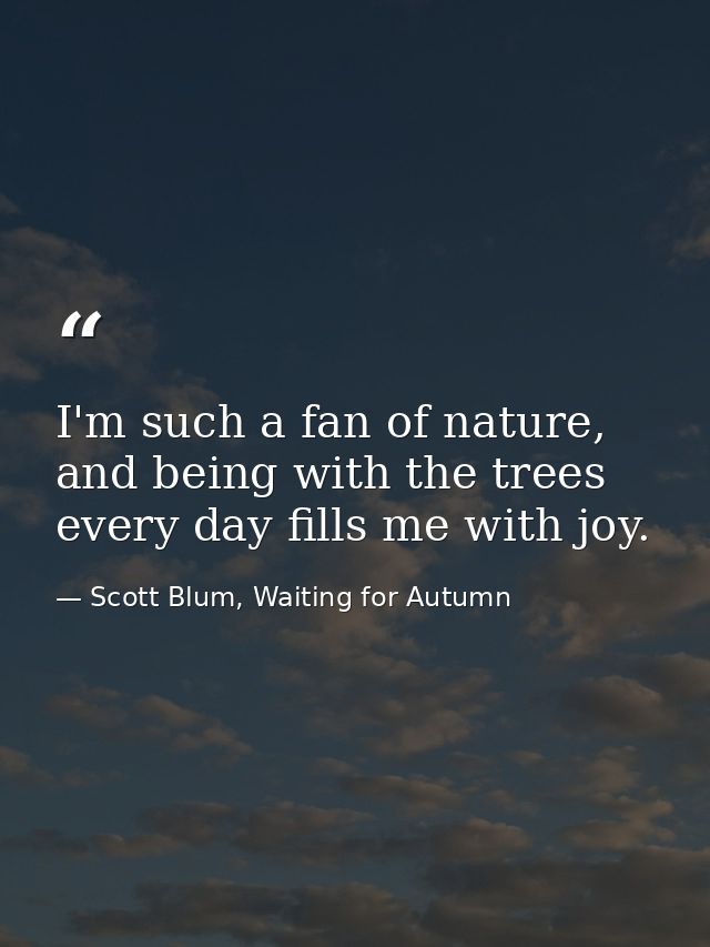 I'm such a fan of nature, and being with the trees every day fills me with joy. — Scott Blum, Waiting for Autumn