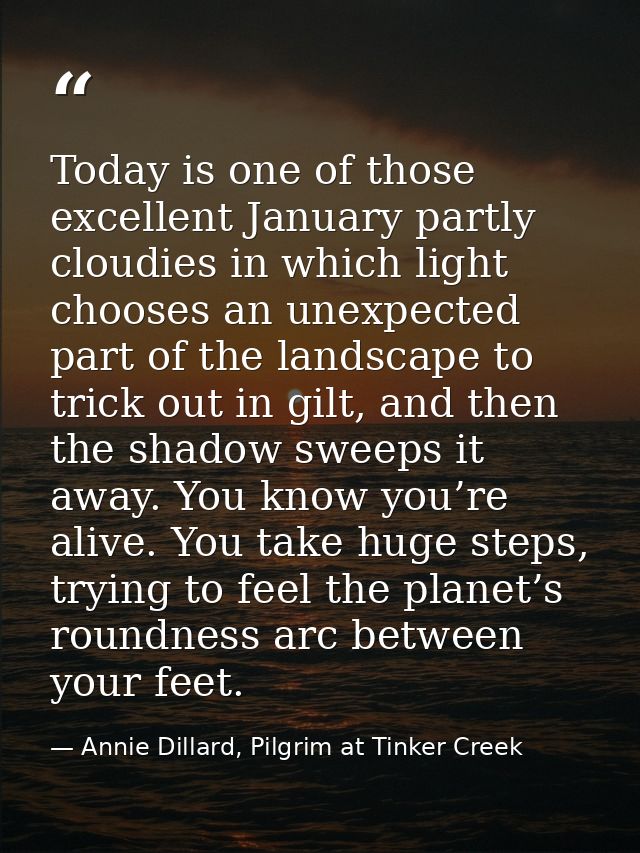 Today is one of those excellent January partly cloudies in which light chooses an unexpected part of the landscape to tr — Annie Dillard, Pilgrim at Tinker Creek