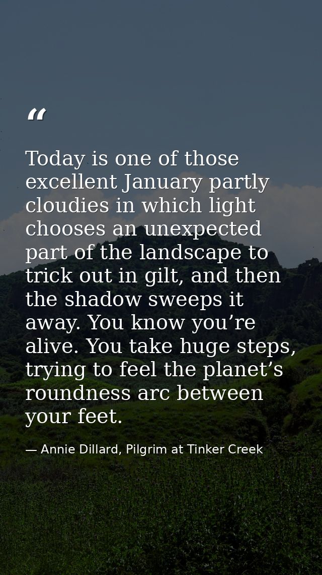 Today is one of those excellent January partly cloudies in which light chooses an unexpected part of the landscape to tr — Annie Dillard, Pilgrim at Tinker Creek