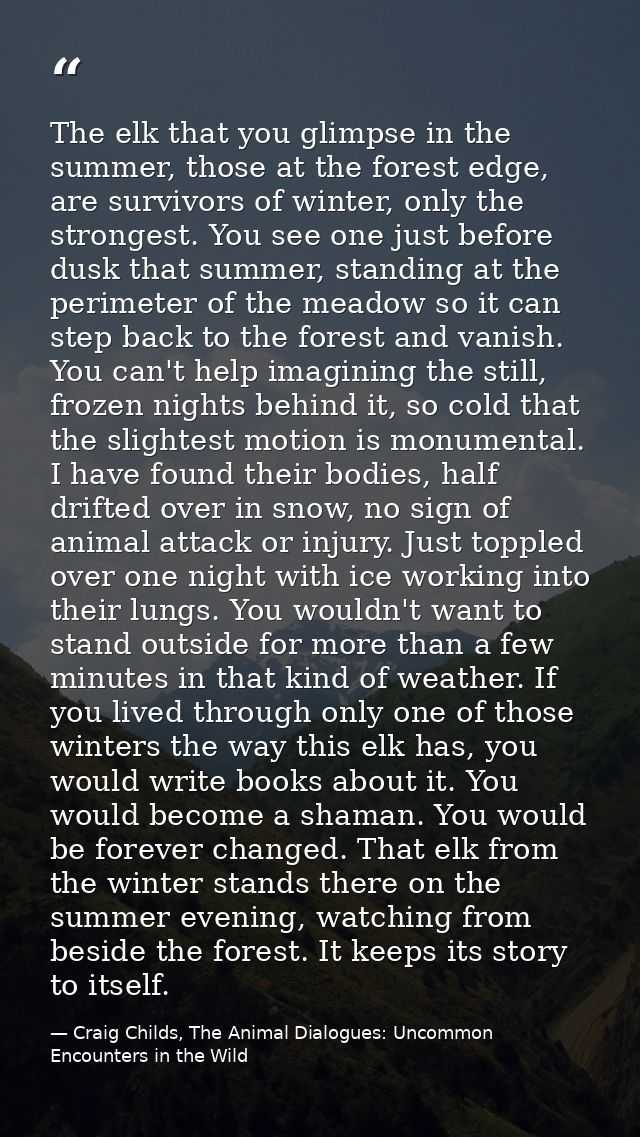 The elk that you glimpse in the summer, those at the forest edge, are survivors of winter, only the strongest. You see o — Craig Childs, The Animal Dialogues: Uncommon Encounters in the Wild
