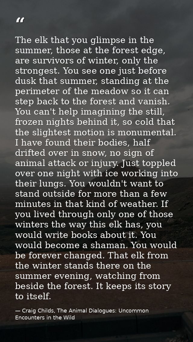 The elk that you glimpse in the summer, those at the forest edge, are survivors of winter, only the strongest. You see o — Craig Childs, The Animal Dialogues: Uncommon Encounters in the Wild