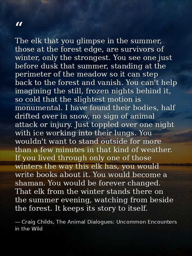 The elk that you glimpse in the summer, those at the forest edge, are survivors of winter, only the strongest. You see o — Craig Childs, The Animal Dialogues: Uncommon Encounters in the Wild