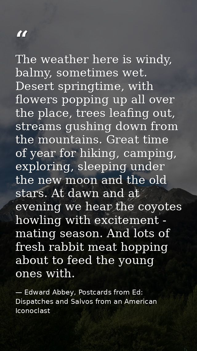 The weather here is windy, balmy, sometimes wet. Desert springtime, with flowers popping up all over the place, trees le — Edward Abbey, Postcards from Ed: Dispatches and Salvos from an American Iconoclast