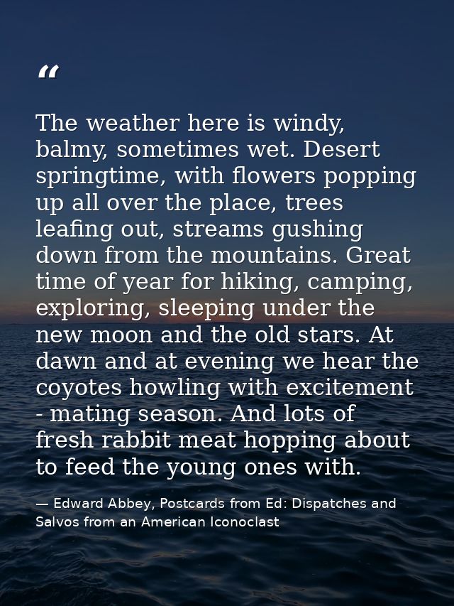 The weather here is windy, balmy, sometimes wet. Desert springtime, with flowers popping up all over the place, trees le — Edward Abbey, Postcards from Ed: Dispatches and Salvos from an American Iconoclast