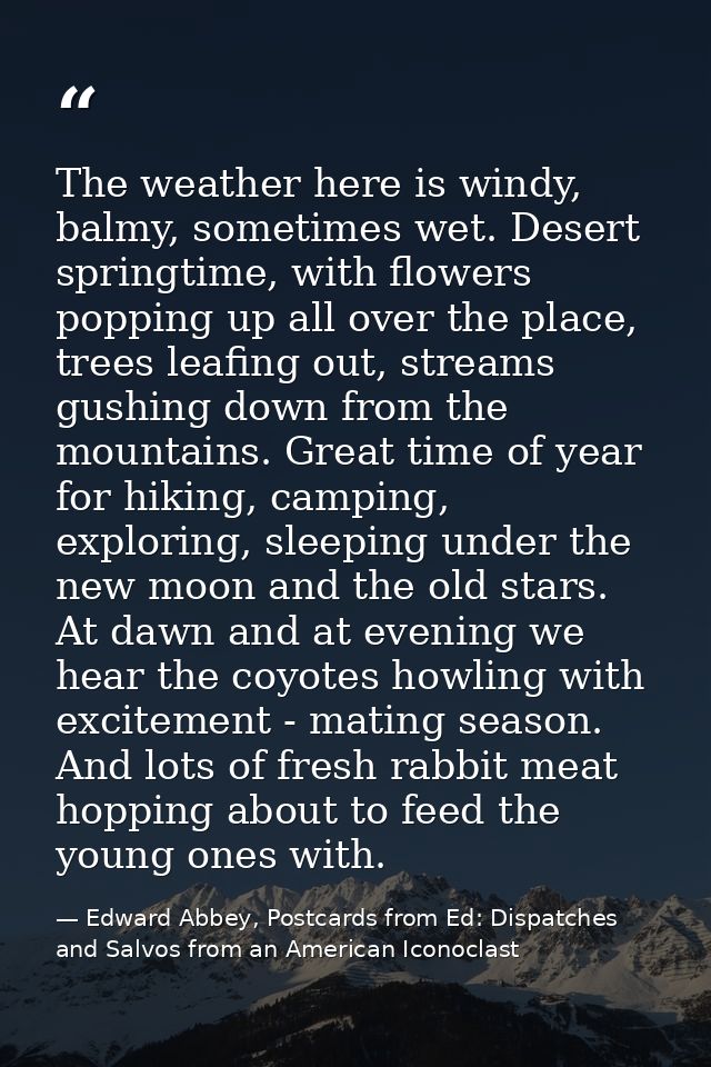 The weather here is windy, balmy, sometimes wet. Desert springtime, with flowers popping up all over the place, trees le — Edward Abbey, Postcards from Ed: Dispatches and Salvos from an American Iconoclast