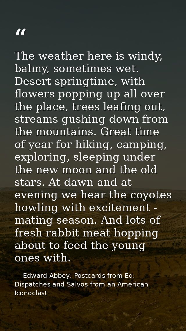 The weather here is windy, balmy, sometimes wet. Desert springtime, with flowers popping up all over the place, trees le — Edward Abbey, Postcards from Ed: Dispatches and Salvos from an American Iconoclast
